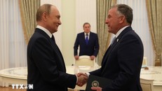 Tổng thống Nga Vladimir Putin (trái) và đặc phái viên của Tổng thống Mỹ Donald Trump, ông Steve Witkoff (phải) tại cuộc gặp ở Moskva ngày 6/8/2025. 