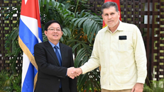 Phó Thủ tướng Hồ Quốc Dũng và Phó Thủ tướng Cuba Óscar Pérez-Oliva Fraga