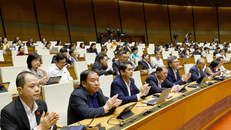 Đại biểu Quốc hội biểu quyết thông qua các luật và nghị quyết.