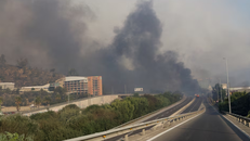 Hai nghi phạm gây cháy rừng tại Chile hồi tháng 2 đã bị bắt. Ảnh: Reuters