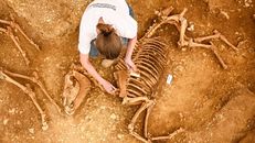 Hài cốt ngựa 2.000 năm tuổi được tìm thấy tại Pháp. Ảnh: Hamid Azmoun/Inrap