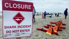 Vụ việc khiến bãi biển Del Mar City phải tạm thời đóng cửa. Ảnh: City of Del Mar