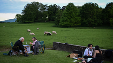 Hòa mình vào âm nhạc cùng đàn cừu tại Lễ hội Opera Glyndebourne. Ảnh: Reuters