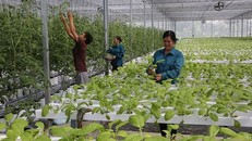 Các doanh nghiệp, hợp tác xã làng nghề tại Hà Nội đã tạo công ăn việc làm cho hàng trăm nghìn lao động ở khu vực nông thôn.