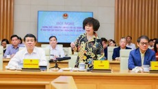 Anh hùng Lao động Thái Hương phát biểu tại Hội nghị của Thường trực Chính phủ làm việc với các doanh nghiệp.