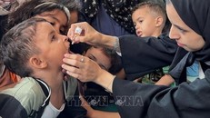 Trẻ em Palestine được uống vaccine phòng bại liệt tại Dải Gaza.