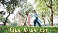 “Giao lộ ước mơ”: Hành trình kết nối màu nhiệm.