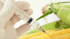 Ảnh minh họa: dw.com