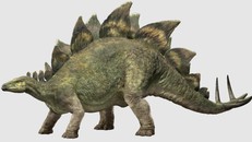 Hình ảnh minh họa khủng long Stegosaurus. Ảnh: Jurassic Park fandom