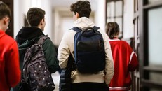 Ảnh: Mircea Moira/Shutterstock