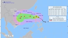 Đường đi của bão TRAMI, tối 23/10/2024. Ảnh: TTXVN phát
