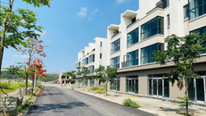 Chuyển động mới tại dự án lớn nhất của Tập đoàn FLC tại Hạ Long: Nỗ lực bàn giao nhà từ tháng 12/2024