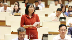 Đại biểu Quốc hội tỉnh Hải Dương Nguyễn Thị Việt Nga đặt câu hỏi chất vấn. Ảnh: Phương Hoa/TTXVN