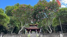 Bên trong khuôn viên di tích khu mộ của Hải Thượng Lãn Ông Lê Hữu Trác (Hương Sơn, Hà Tĩnh). Ảnh: TTXVN phát