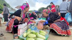 Chợ phiên của bà con dân tộc Mông ở xã Tả Lèng, huyện Tam Đường, tỉnh Lai Châu. Ảnh: Đinh Thùy/TTXVN