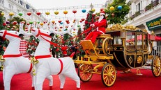 Nơi đây nhanh chóng trở thành điểm check-in lý tưởng của giới trẻ