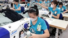 Mức sinh giảm thấp kéo dài sẽ tác động trực tiếp và để lại nhiều hệ lụy như thiếu hụt lực lượng lao động. Ảnh: Trần Việt/Vietnam+