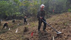 Ảnh minh họa. Ảnh: Đức Thọ/TTXVN