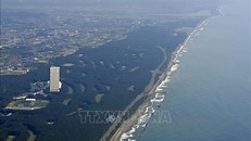 Quang cảnh bờ biển thành phố Miyazaki, tiếp giáp Rãnh Nankai, Tây Nam Nhật Bản. Ảnh: Kyodo/TTXVN