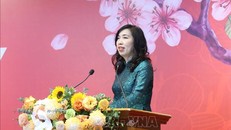 Thứ trưởng Bộ Ngoại giao Lê Thị Thu Hằng phát biểu tại buổi gặp mặt đại diện các cơ quan báo chí nước ngoài tại Việt Nam nhân dịp Xuân Ất Tỵ 2025, ngày 16/1. Ảnh: Phương Hoa/TTXVN