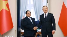 Thủ tướng Phạm Minh Chính hội kiến Tổng thống Ba Lan Andrzej Duda. Ảnh: Dương Giang/TTXVN