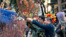 Với nhiều người Hà Nội, đi chợ Hàng Lược sắm sửa Tết là một thói quen mỗi dịp Tết đến, Xuân về. Ảnh: Phạm Tuấn Anh/TTXVN