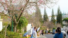 Du khách tham quan, chụp ảnh trên các tuyến phố trung tâm Đà Lạt. Ảnh: Nguyễn Dũng/TTXVN