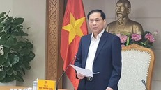 Phó Thủ tướng Bùi Thanh Sơn. Ảnh: Chu Thanh Vân/TTXVN