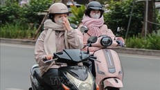 Ảnh minh họa: Hoàng Hiếu/TTXVN