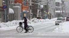 Tuyết phủ trắng xóa tại Aomori, đông bắc Nhật Bản. Ảnh tư liệu: Kyodo/TTXVN