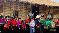 Điện Biên chào đón Lễ hội Hoa Ban 2025.