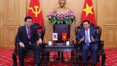 Đồng chí Nguyễn Xuân Thắng tiếp GS.TS Young-Sup Joo, Chủ tịch Hội đồng Khoa học và Công nghệ Hàn Quốc, Chủ tịch Hiệp hội Đổi mới sáng tạo kỹ thuật số Hàn Quốc. Ảnh: Văn Điệp/TTXVN