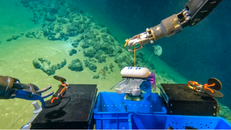 Hình ảnh robot được triển khai để bơi vào rãnh Mariana. Ảnh: Đại học Beihang