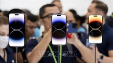 Ảnh minh họa: AFP/TTXVN