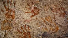 Ảnh minh họa. Nguồn: Shutterstock