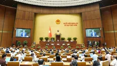 Dự thảo Luật sau chỉnh lý đã rút gọn từ 89 điều còn 52 điều, gồm 8 chương, trong đó nội dung nổi bật là khái niệm “sản phẩm hóa dược” được xác định lại để tránh hiểu nhầm với thuốc và nguyên liệu làm thuốc theo Luật Dược.