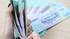 Chính phủ quy định mức lương tối thiểu tại 4 vùng đối với người lao động làm việc theo hợp đồng lao động theo Nghị định số 74/2024/NĐ-CP.