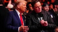 Ông Trump và ông Musk tại một sự kiện ở new York tháng 11/2024. Ảnh: Rolling Stone