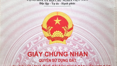 Giấy chứng nhận quyền sử dụng đất.