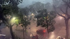 Mưa giông lớn bất ngờ khiến nhiều cây xanh, xe cộ bị quật đổ trên đường ở Hà Nội. Ảnh: An Đăng