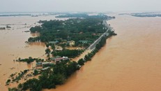 Cảnh báo mưa to, nguy cơ trượt lở đất và lũ quét tại 100 xã phường.