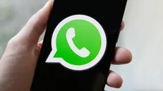 Biểu tượng ứng dụng WhatsApp.