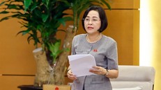 Phó Chủ tịch Quốc hội Nguyễn Thị Thanh phát biểu. Ảnh: Doãn Tấn