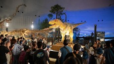 Mô hình khủng long bạo chúa có thể cử động. Ảnh: Xuân Giao