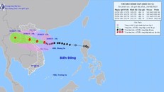 Thông tin về cơn bão số 5 lúc 21 giờ ngày 24/08. 