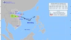 Vị trí và đường đi của bão số 6. Nguồn: Trung tâm Dự báo Khí tượng Thủy văn Quốc gia