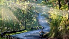 Đoạn đường đẹp như tranh vẽ của đèo Prenn nằm cách trung tâm Đà Lạt khoảng 10 km (Ảnh: caonguyendatravel.com)