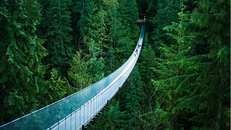 Cầu Capilano, Canada (Ảnh: BrightSide)