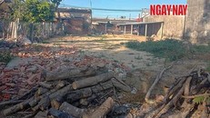 Phần đất trên thửa đất 1177 được ông Quang tháo dỡ lều trại, trả lại hiện trạng. Ảnh: Lê Xuân Thọ