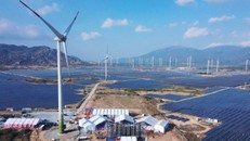 Trung Nam Group khánh thành Nhà máy điện gió lớn nhất Việt Nam